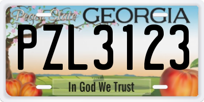 GA license plate PZL3123