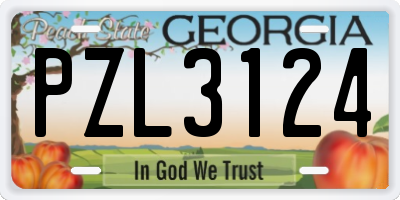 GA license plate PZL3124