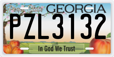 GA license plate PZL3132