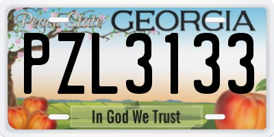 GA license plate PZL3133