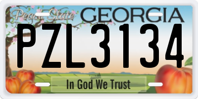 GA license plate PZL3134