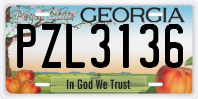 GA license plate PZL3136