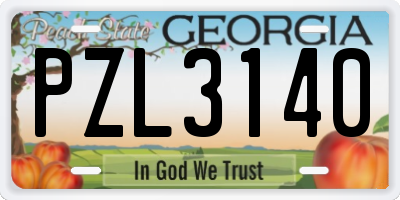 GA license plate PZL3140