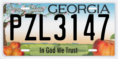 GA license plate PZL3147