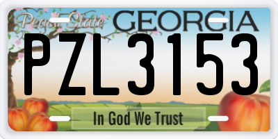 GA license plate PZL3153