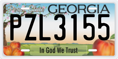 GA license plate PZL3155