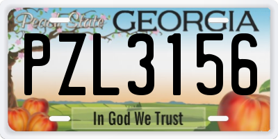 GA license plate PZL3156