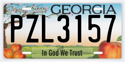 GA license plate PZL3157