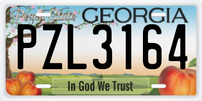 GA license plate PZL3164