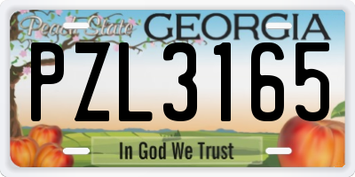 GA license plate PZL3165