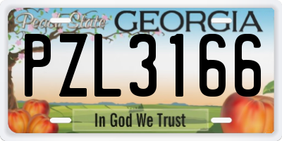 GA license plate PZL3166