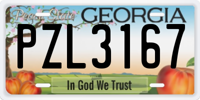 GA license plate PZL3167