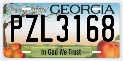 GA license plate PZL3168