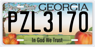 GA license plate PZL3170