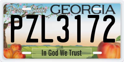 GA license plate PZL3172