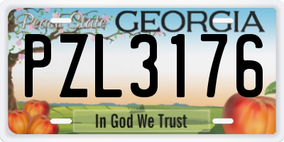 GA license plate PZL3176