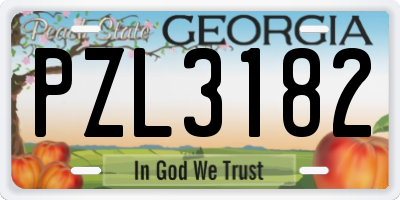 GA license plate PZL3182