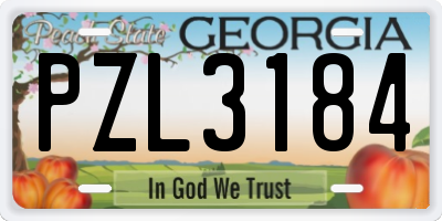 GA license plate PZL3184