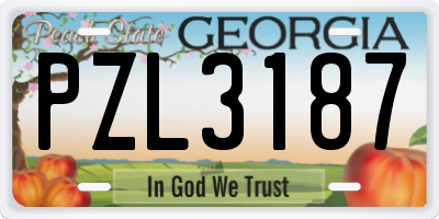 GA license plate PZL3187
