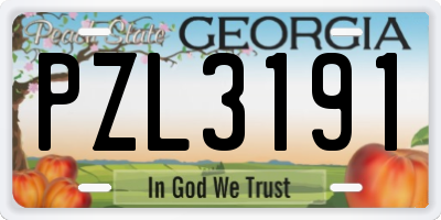 GA license plate PZL3191