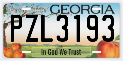 GA license plate PZL3193