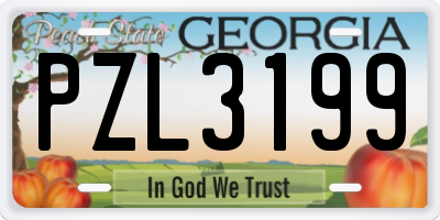 GA license plate PZL3199