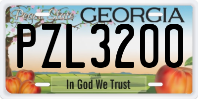 GA license plate PZL3200
