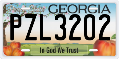 GA license plate PZL3202