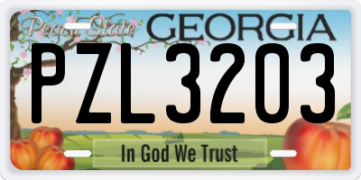 GA license plate PZL3203