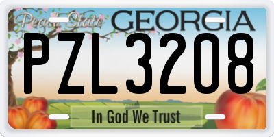 GA license plate PZL3208
