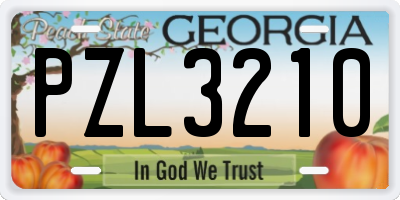 GA license plate PZL3210