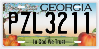 GA license plate PZL3211
