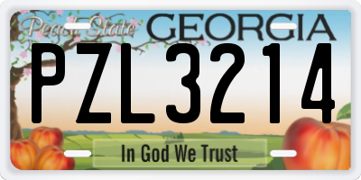 GA license plate PZL3214