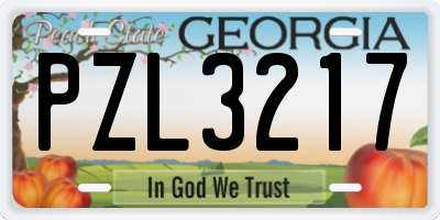 GA license plate PZL3217