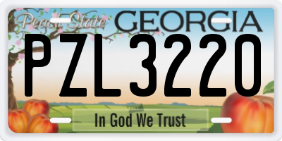 GA license plate PZL3220