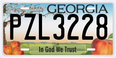 GA license plate PZL3228