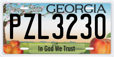 GA license plate PZL3230