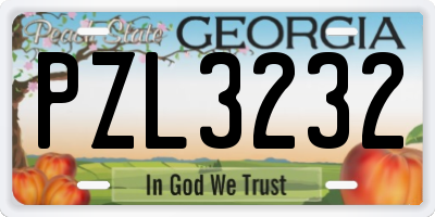 GA license plate PZL3232