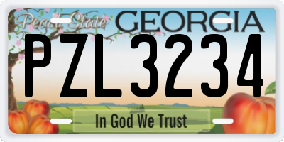 GA license plate PZL3234