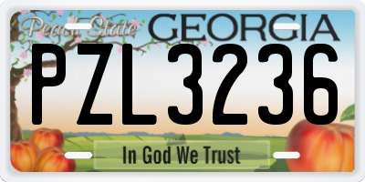 GA license plate PZL3236
