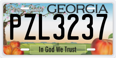 GA license plate PZL3237
