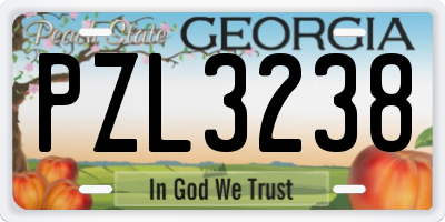 GA license plate PZL3238