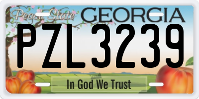 GA license plate PZL3239