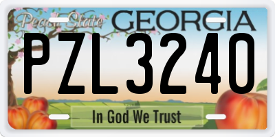 GA license plate PZL3240