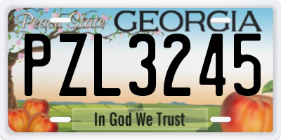 GA license plate PZL3245