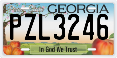 GA license plate PZL3246