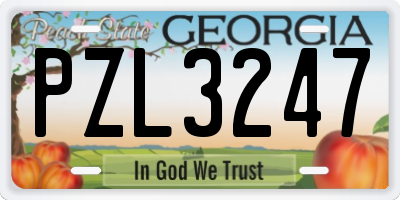 GA license plate PZL3247