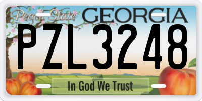 GA license plate PZL3248