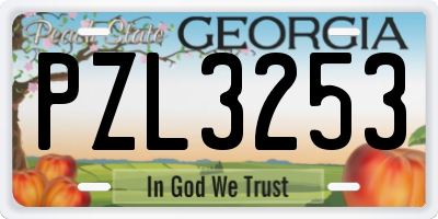 GA license plate PZL3253