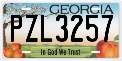 GA license plate PZL3257